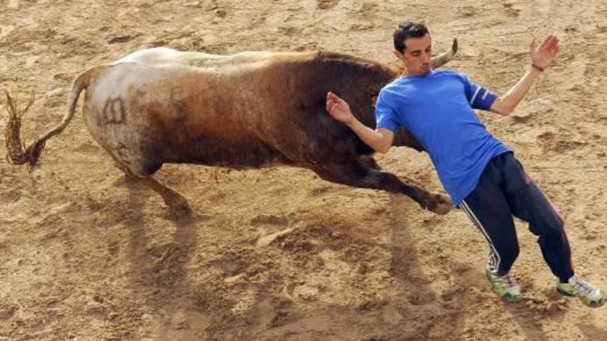 Tranquilidad en los toros de Onda