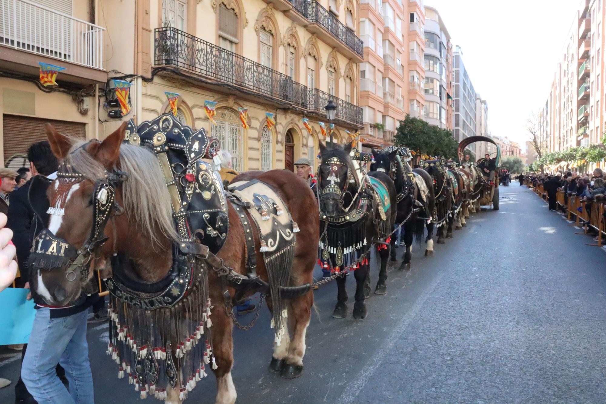 Perros policía y animales de granja completan el desfile de Sant Antoni en València