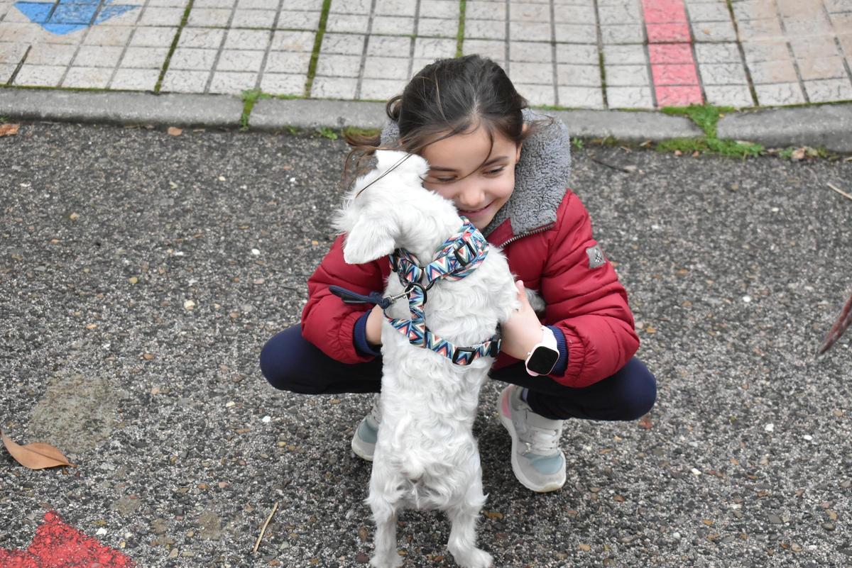 Fotogalería | Así ha sido la celebración de San Antón en el colegio San Antonio de Cáceres