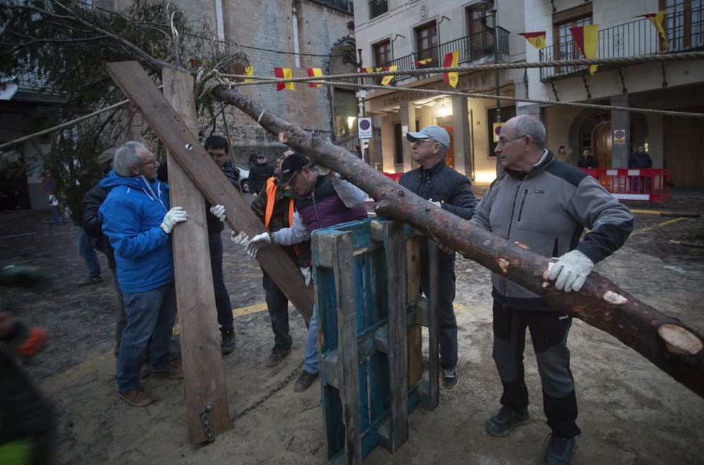 Así a sido la Plantà del Pí que el mal tiempo no ha podido parar en Sagunt