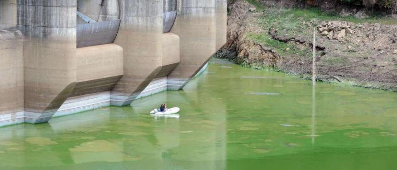 Embalse de Umia en Caldas teñido de verde por las cianobacterias. // Noe Parga