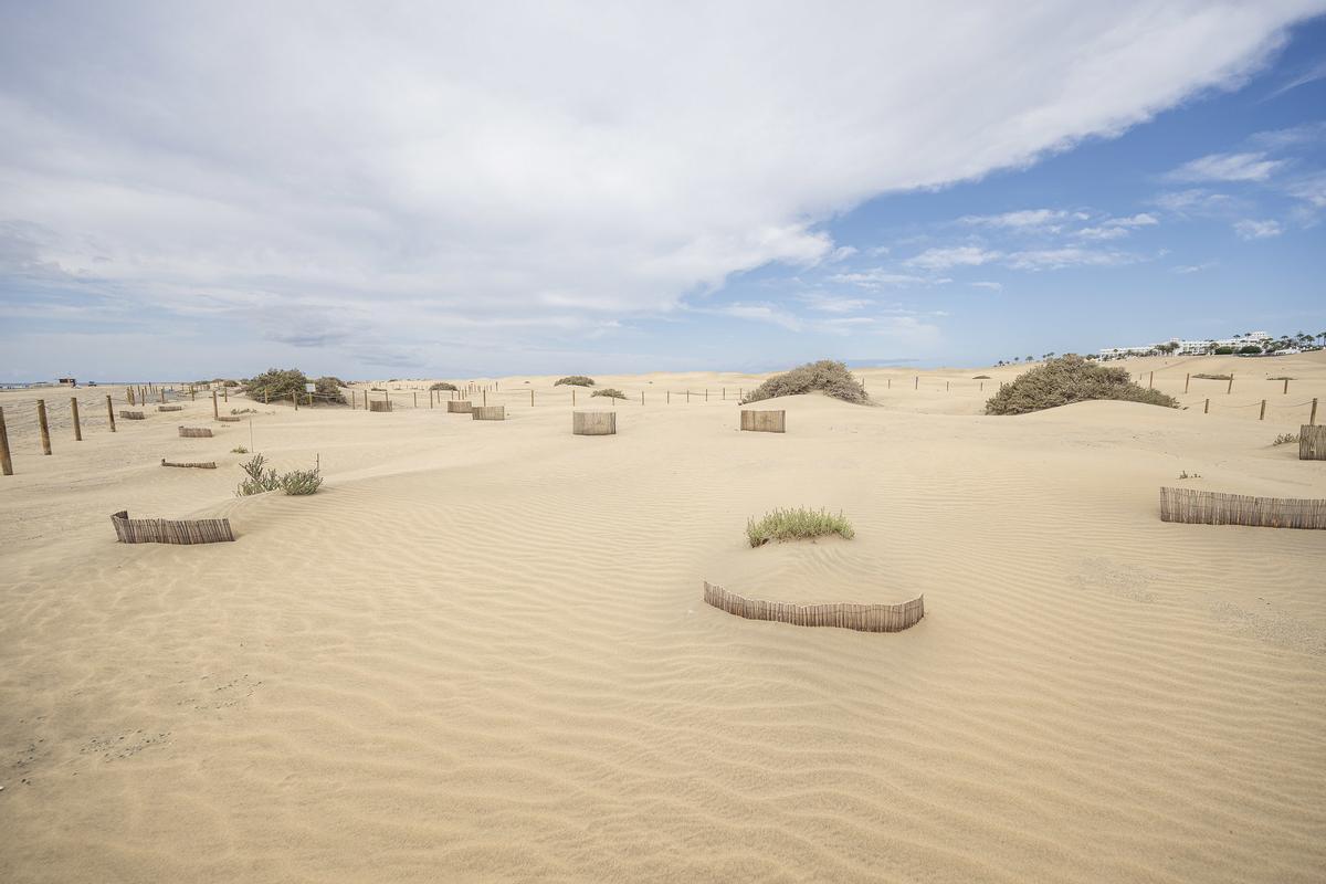 Las dunas de Maspalomas