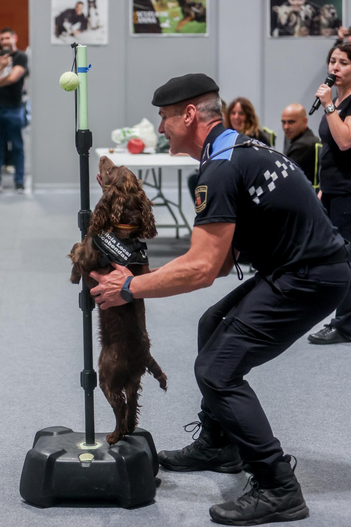 Mad Dog Show: fiebre por los perros en Madrid