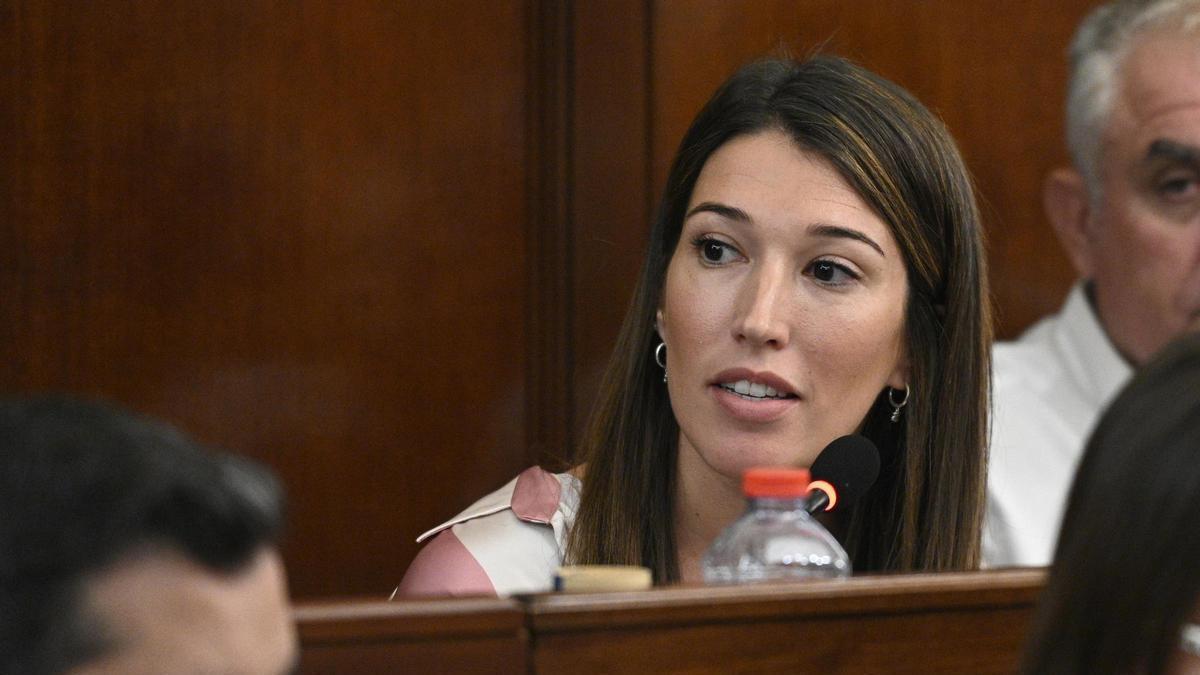 La diputada socialista Maria Jiménez, en un pleno.