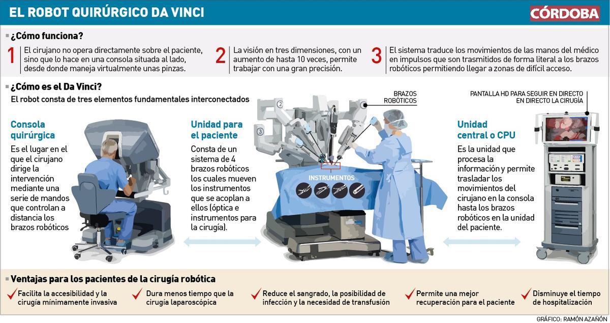grafico da vinci