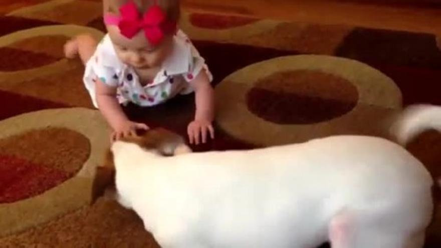 Un perro enseña a gatear a una niña de 7 meses