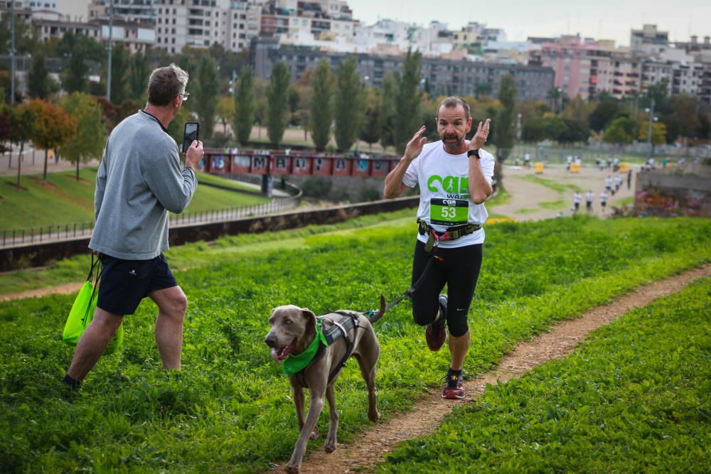 Can We Run Mallorca: So war das Hunderennen