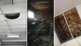 Cucarachas y techos caídos: alumnos del Conservatorio denuncian los desperfectos del edificio