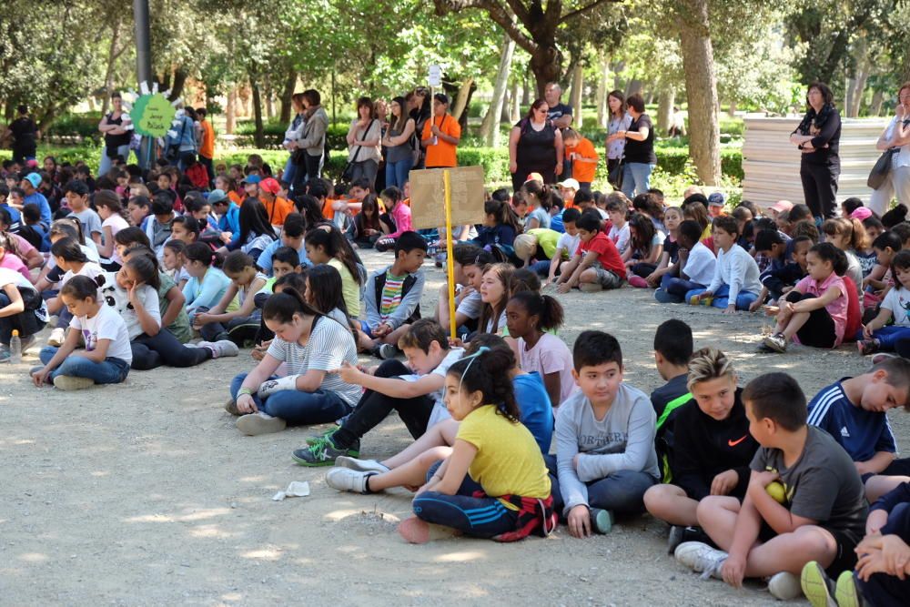 Festa de l´Arbre «100 anys»