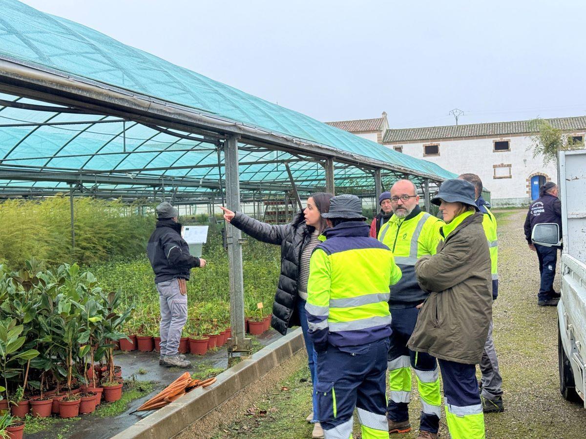 Campaña de arbolado 2026