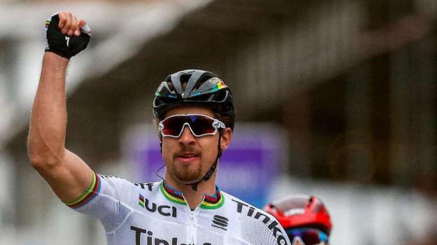 Sagan celebra su triunfo en la meta de Wevelgem. // Laurent Dubrule