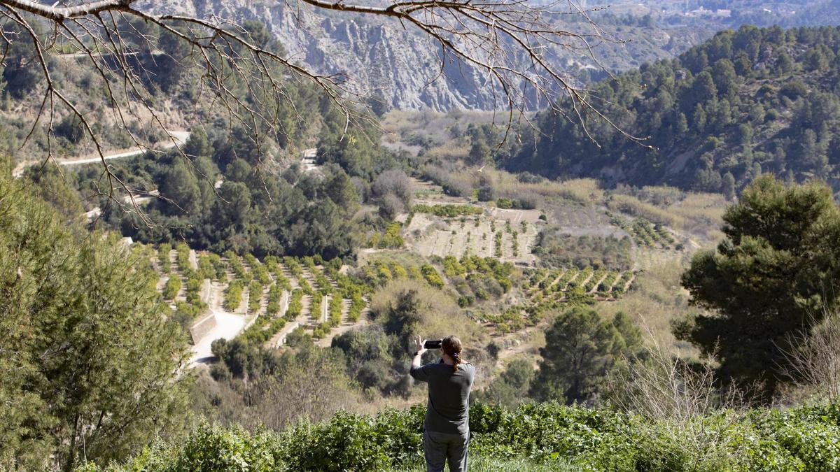 Un visitante fotografía con su móvil una zona de la sierra natural de Estubeny.
