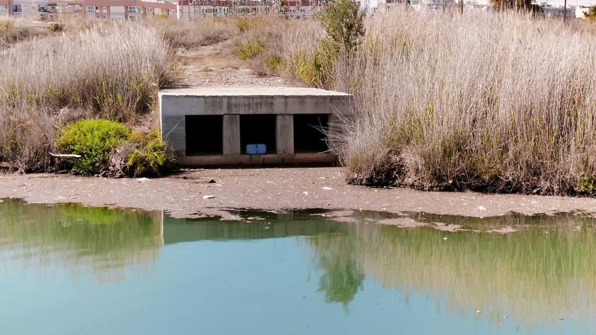 Suciedad que se acumulan en la desembocadura del Turia junto a Natzaret