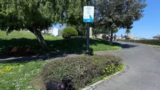 A Coruña dispone de diferentes zonas caninas, aunque no todas tienen los mismos horarios y normas
