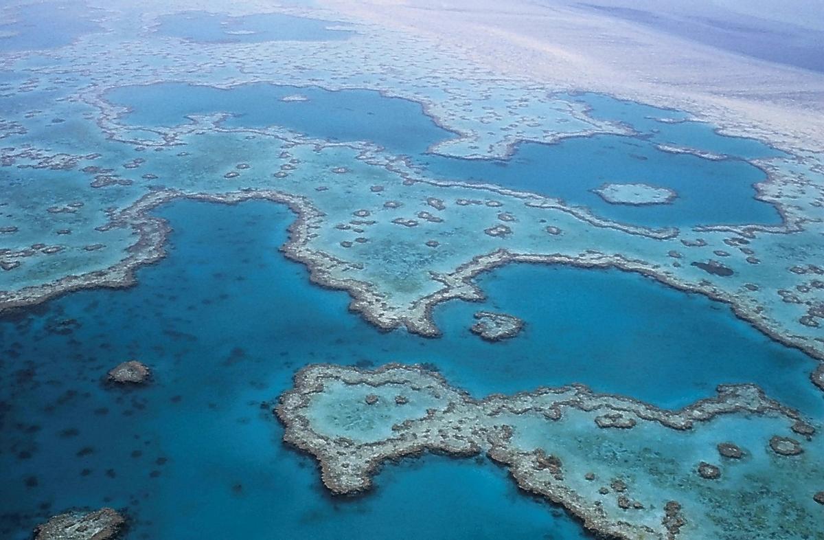Bucear en la Gran Barrera de Coral es uno de los planes más alucinantes que puedes hacer en el mes de abril.