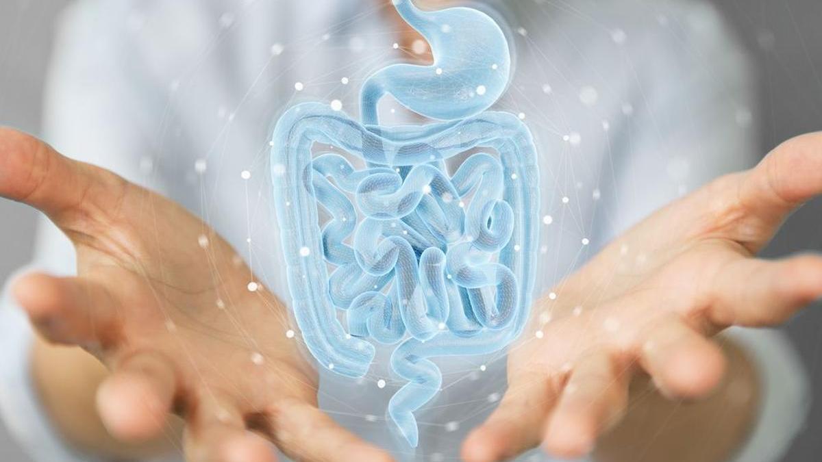 Sí, el estrés ataca el sistema digestivo: así funciona el intestino, nuestro segundo cerebro