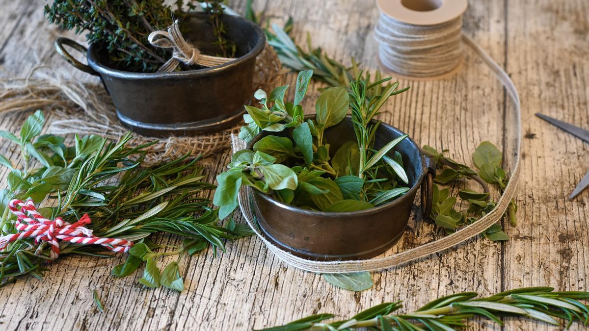 El romero es una planta muy aromática que puedes cultivar en casa.