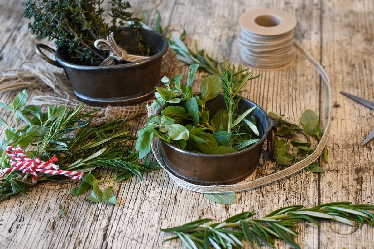 El romero es una planta muy aromática que puedes cultivar en casa.