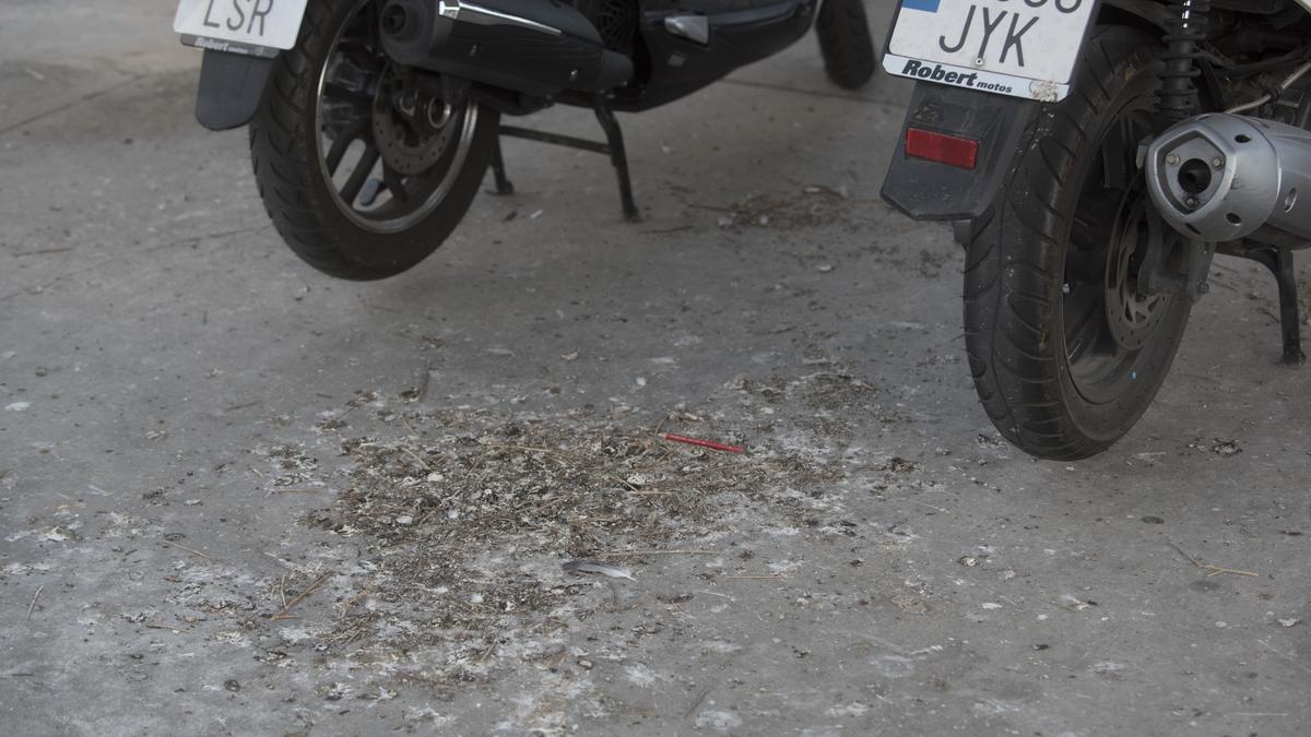 Excrements de coloms a carrers de Manresa, un problema seriós