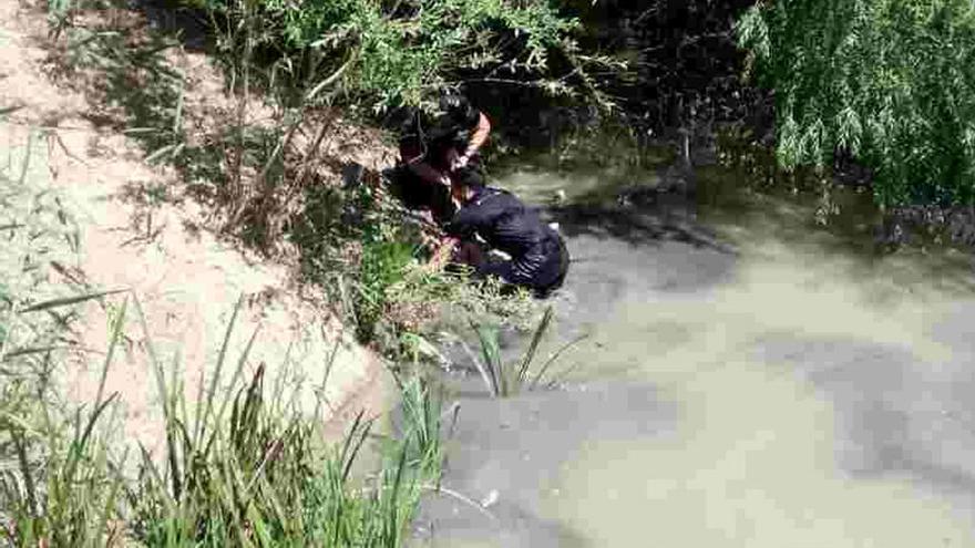 Momento en el que sacan del agua al hombre accidentado.