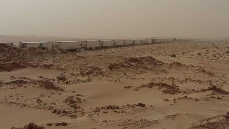 Largas colas de camiones con pescado, parados este verano en el desierto que hace frontera con Marruecos. // FdV