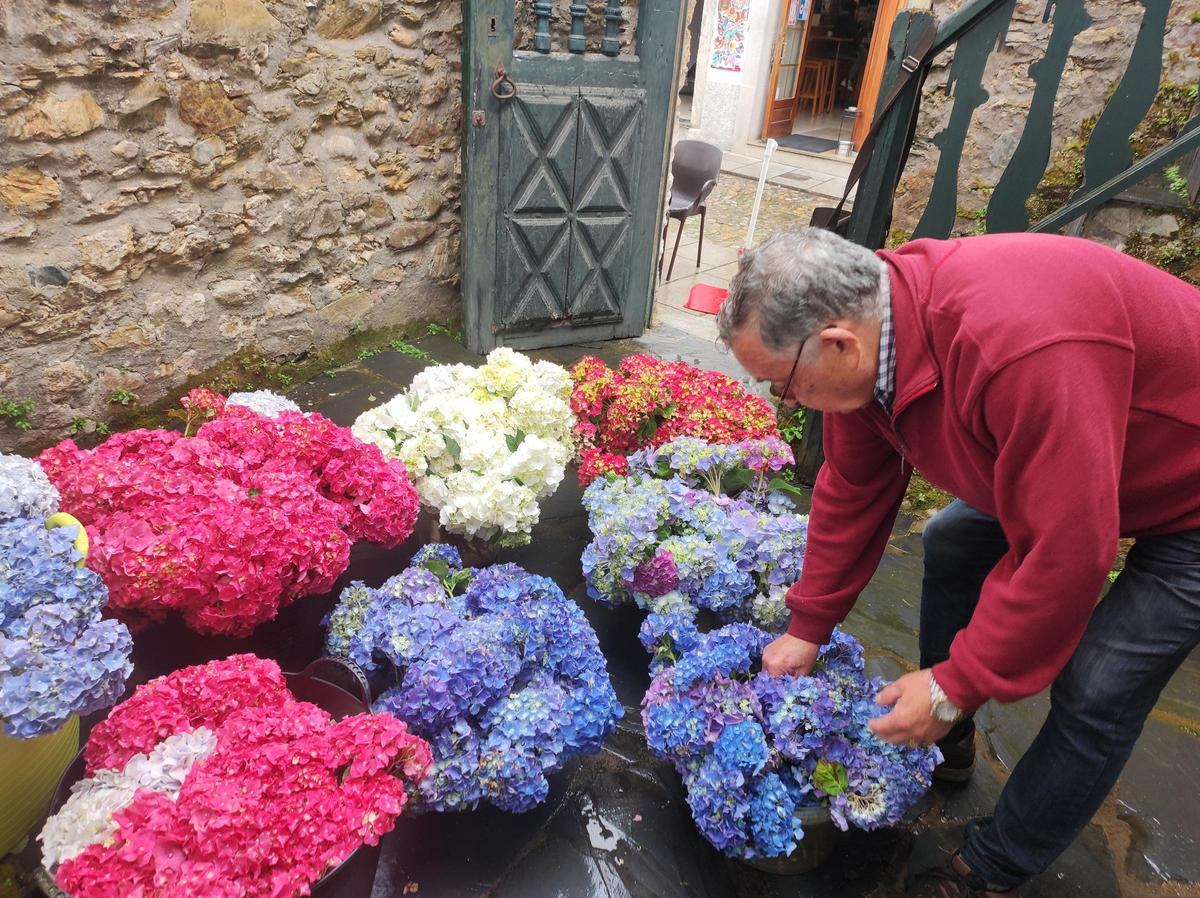 En imágenes: Castropol se llena de flores para el Corpus