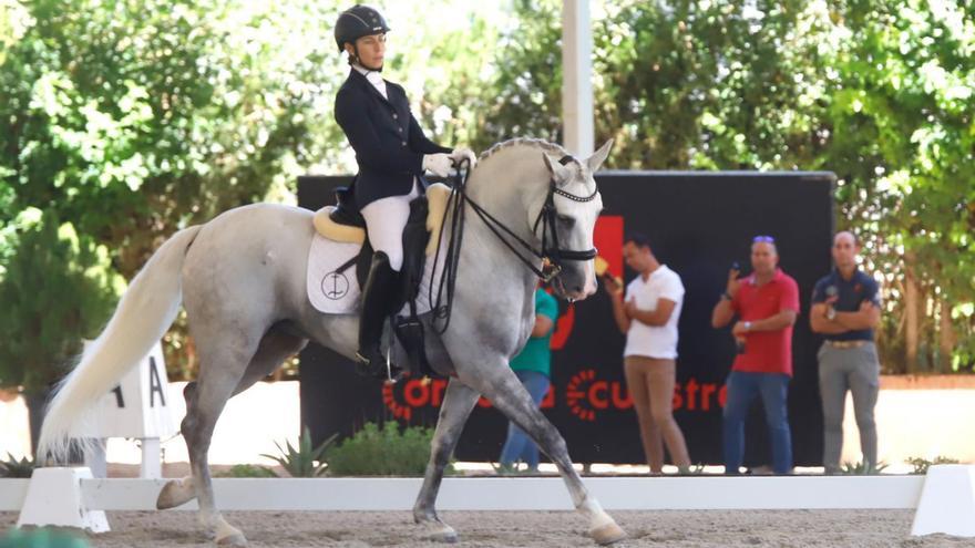 Córdoba destaca en las pruebas de caballos jóvenes