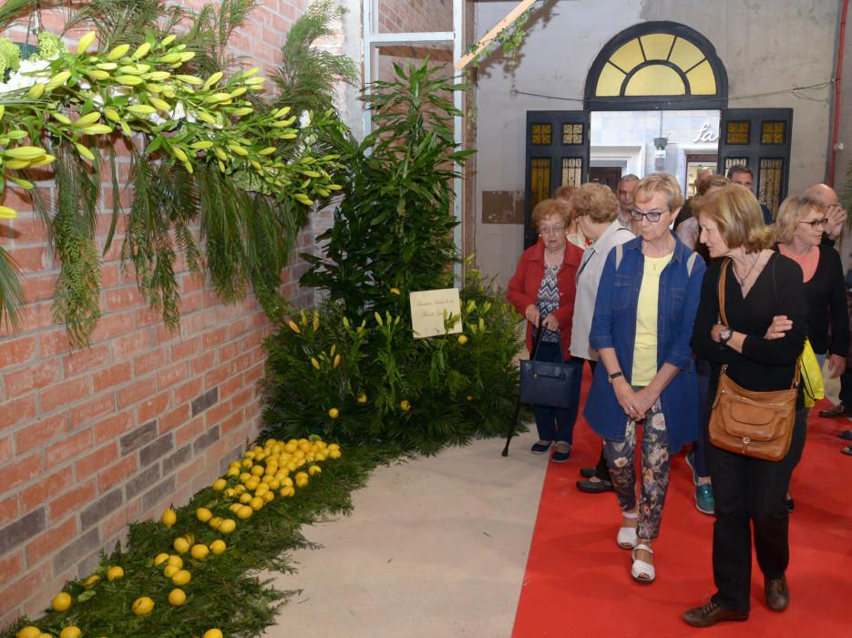 El Casino Menestral obre amb la Mostra Floral