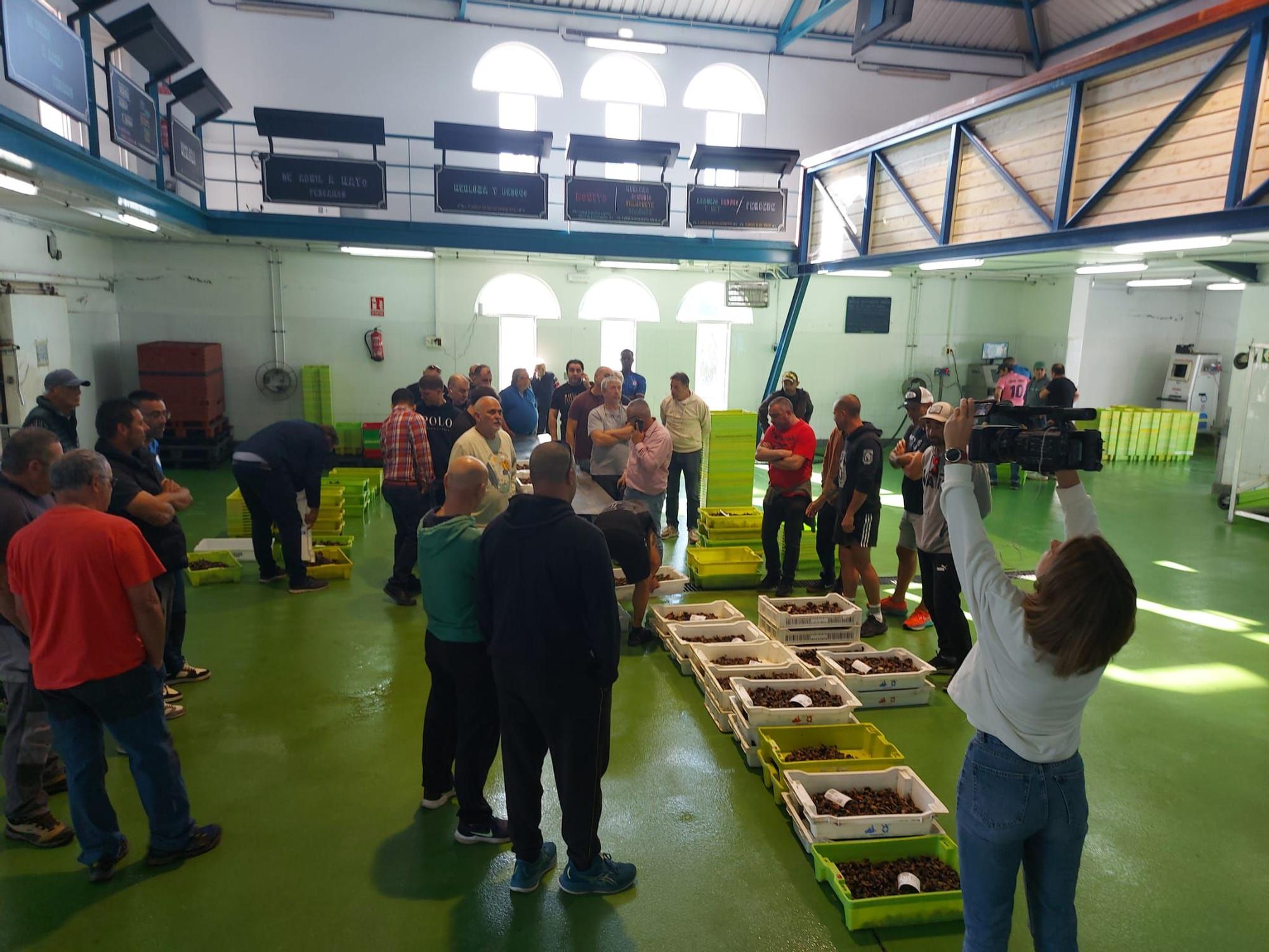 En imágenes: La primera subasta de percebe de la temporada en la rula de Puerto de Vega