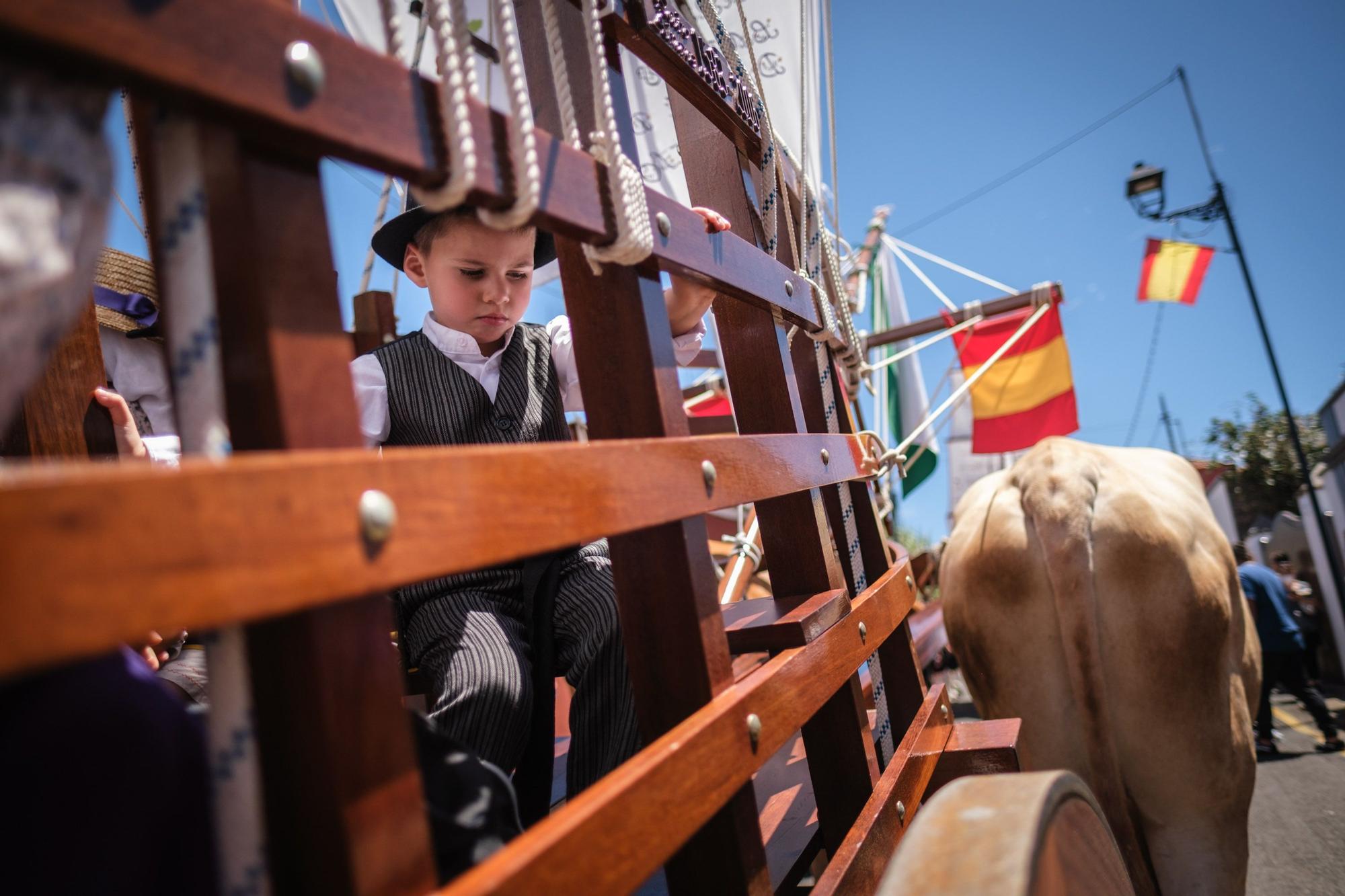 Exposición de Carros y Carretas de las Fiestas de San Marcos de Tegueste.