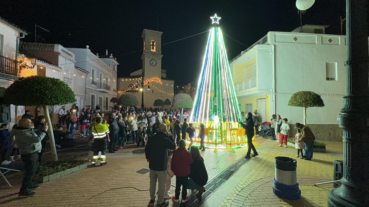 Molts municipis han plantat el seu abre de Nadal; en la imatge, el de Miramar