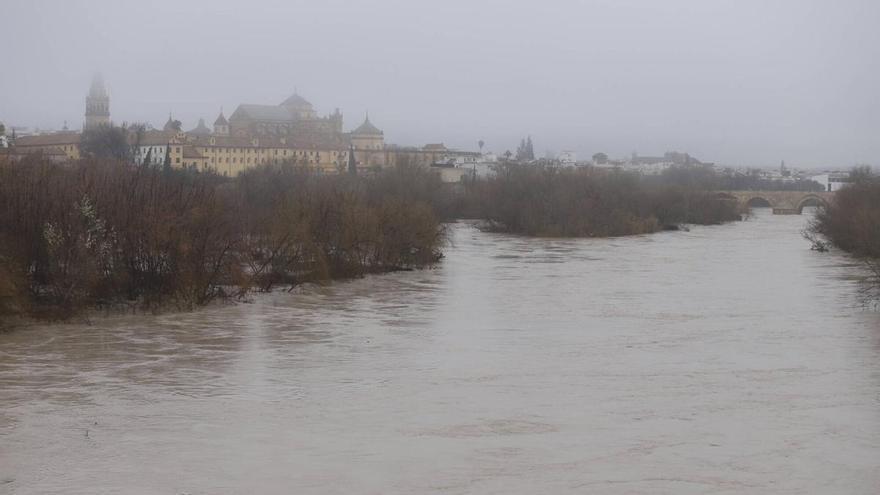 El nivel del río baja en Córdoba hasta 2,85 metros, a punto de salir de la fase de más riesgo
