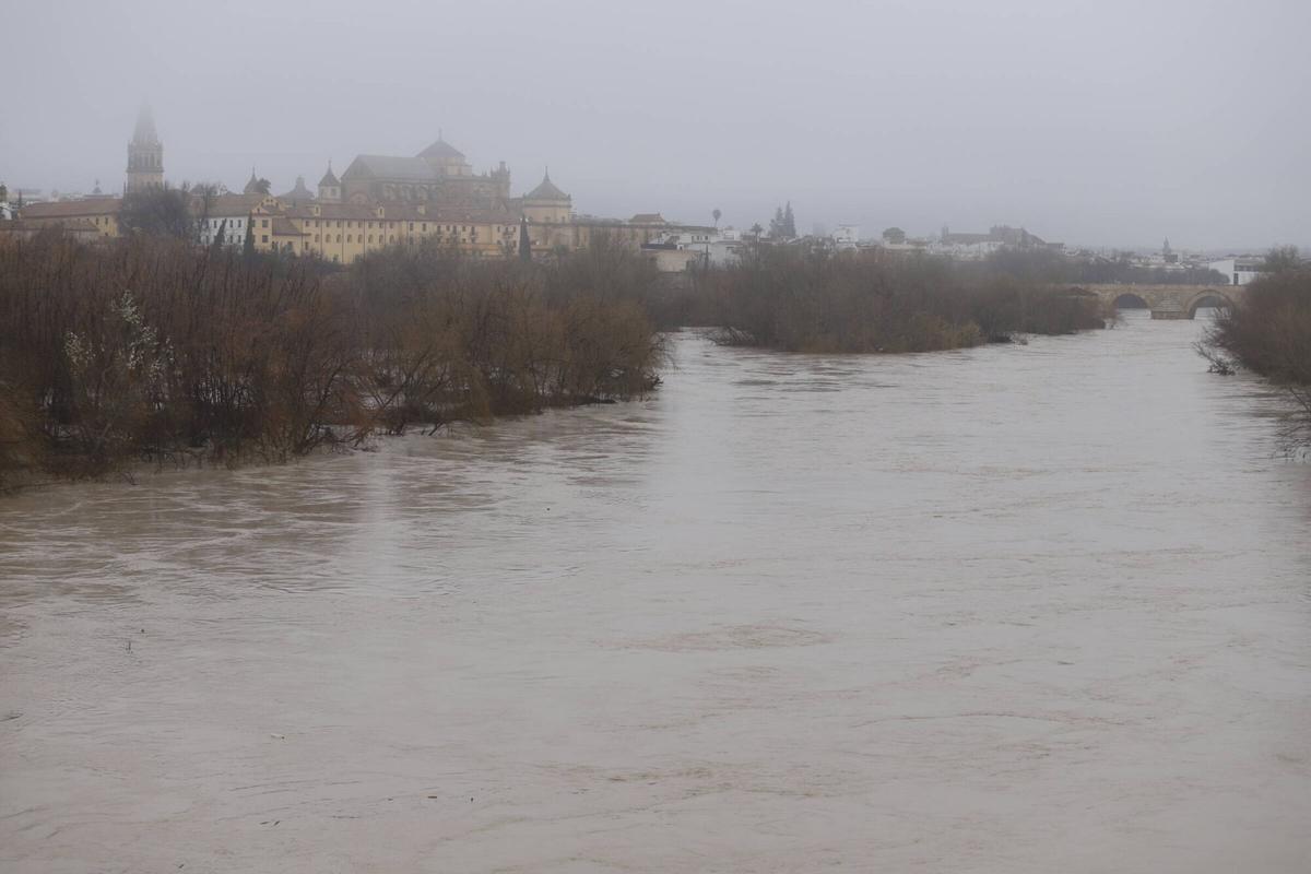 El nivel del río superó el sábado los 6 metros en Córdoba.