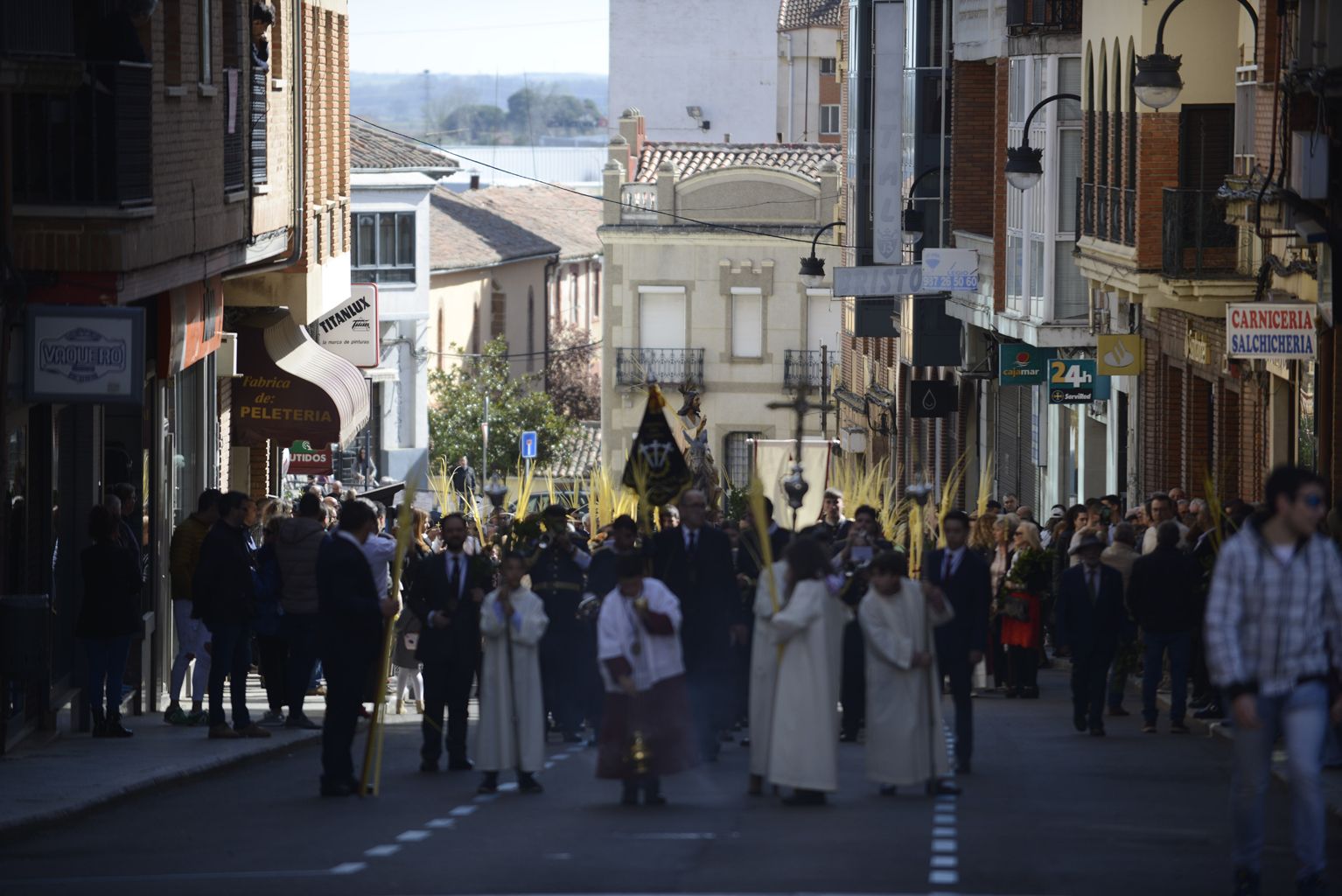 GALERÍA | Procesión del Domingo de Ramos en Benavente