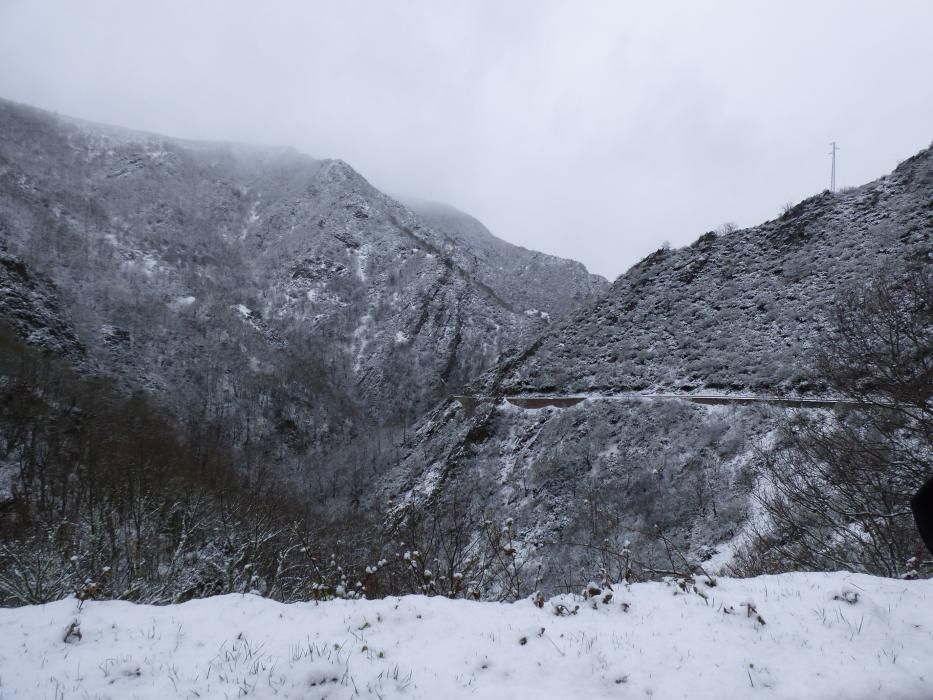 Primera nevada de la primavera o última del invierno en Genestoso, Cangas del Narcea