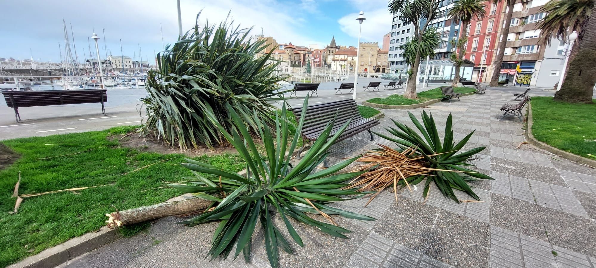 En imágenes: Así fue el impresionante temporal de viento que azotó Gijón este mediodía