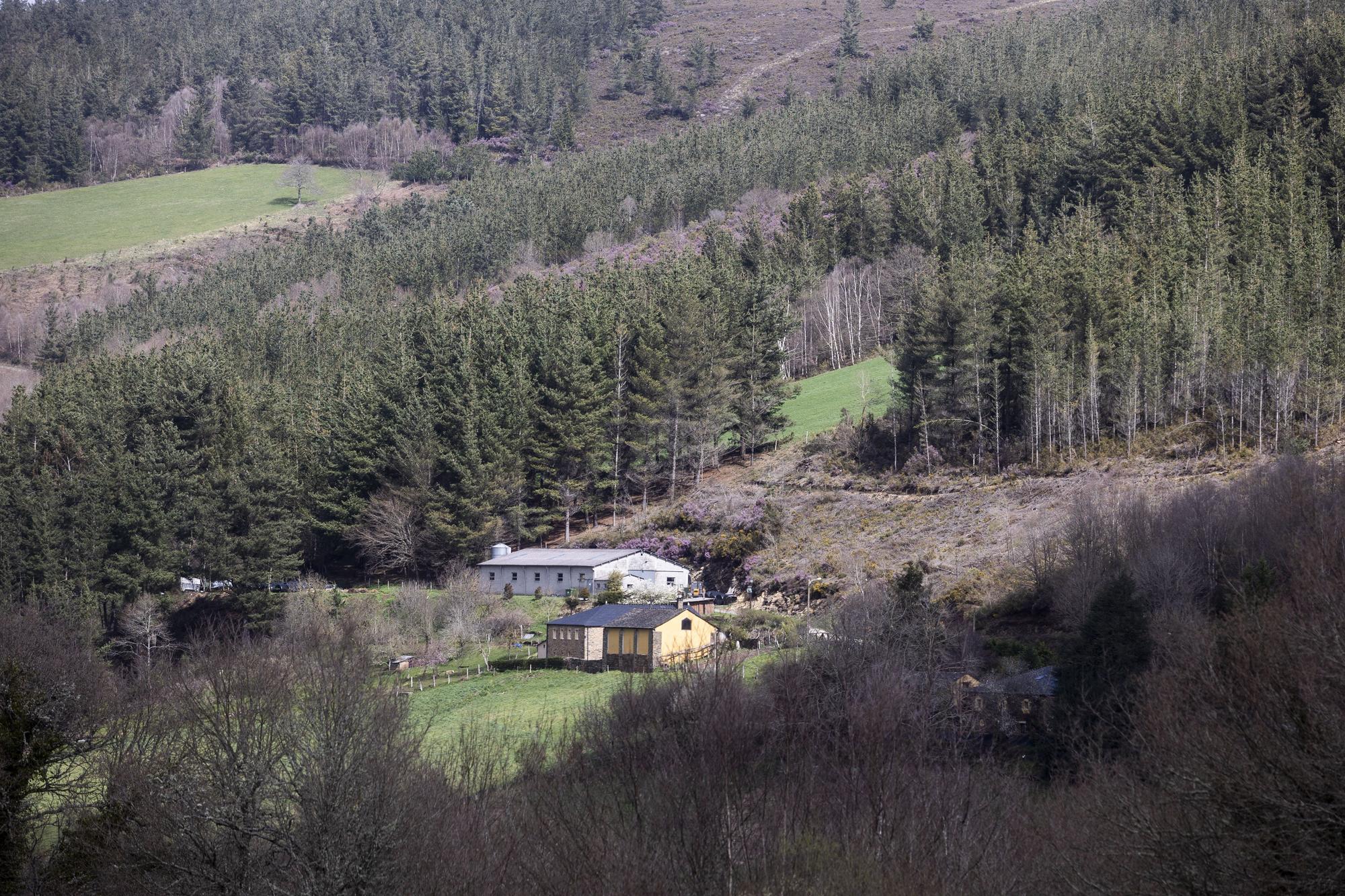 Asturianos en Santa Eulalia de Oscos, un recorrido por el municipio