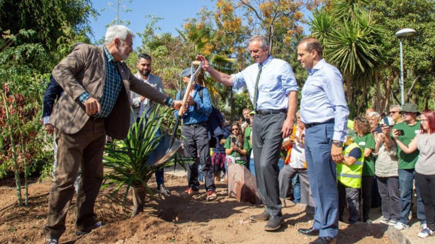 Momento en el que el abogado y activista medioambiental Robert F. Kennedy (C) ha plantado este lunes un drago