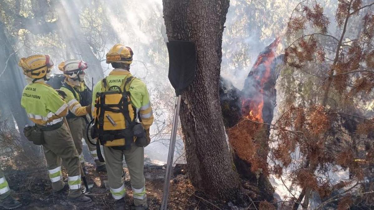 FUEGO ZAMORA | El operativo del incendio de Fermoselle se ha enfrentado a un fuego muy voraz y destructivo: «Hay gente que se juega la vida»