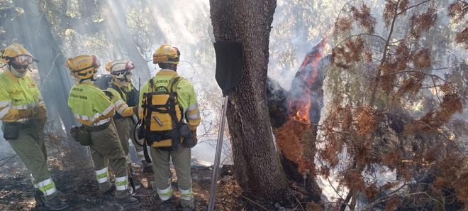 El operativo del incendio de Fermoselle se ha enfrentado a un fuego muy voraz y destructivo: "Hay gente que se juega la vida"