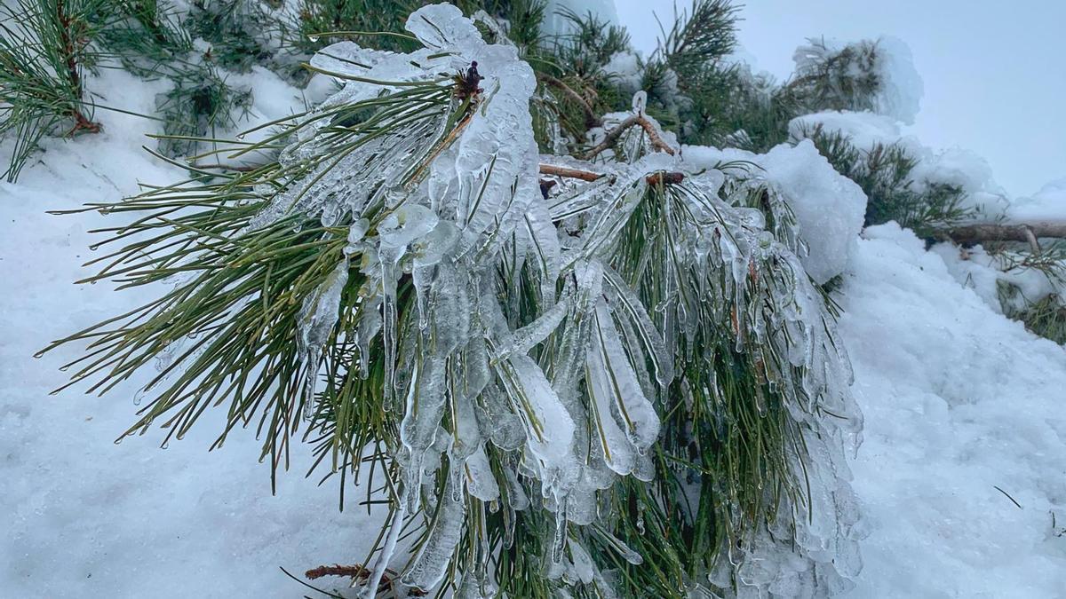 La nieve sigue presente en el Parque Nacional del Teide