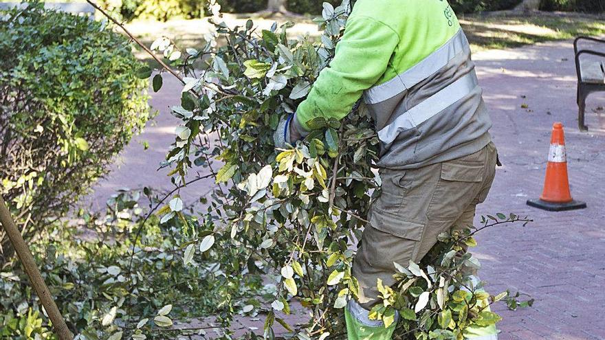 Trabajadores de mantenimiento de zonas verdes en imagen de archivo.