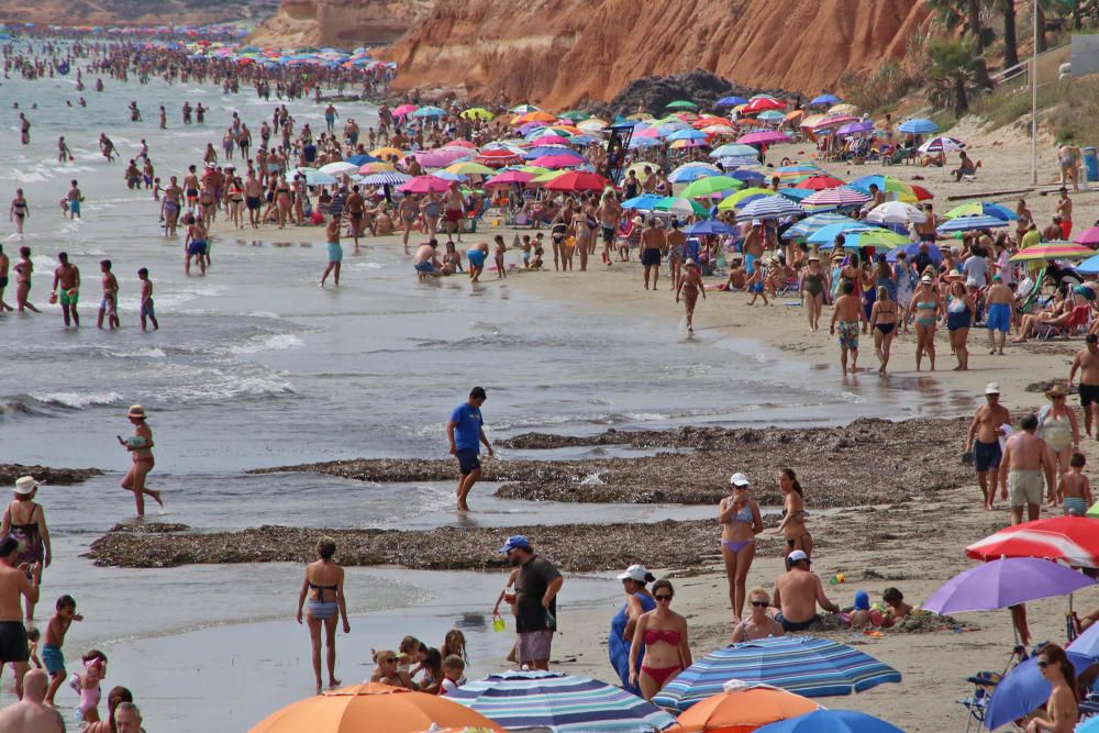 Protesta ciudadana en Campoamor por la falta de li