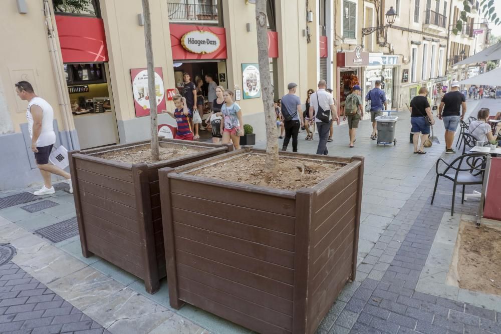 Nach dem Anschlag in Barcelona sind am Montag (21.8.) weitere Lkw-Barrieren in Form von Blumenkübeln aufgestellt worden, diesmal im Carrer Oms - die Fußgängerzone verbindet Plaça d'Espanya mit der Blumen-Rambla.