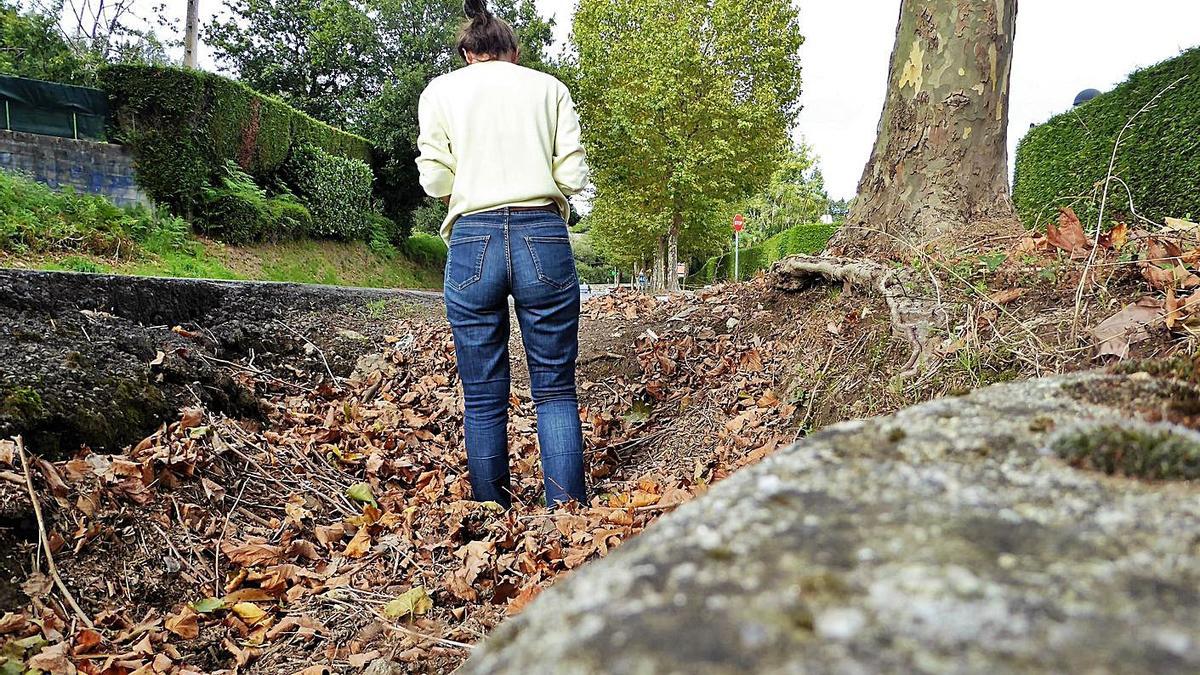 Altura de la cuneta en uno de los tramos frente a la urbanización Os Regos. |   // M.V.