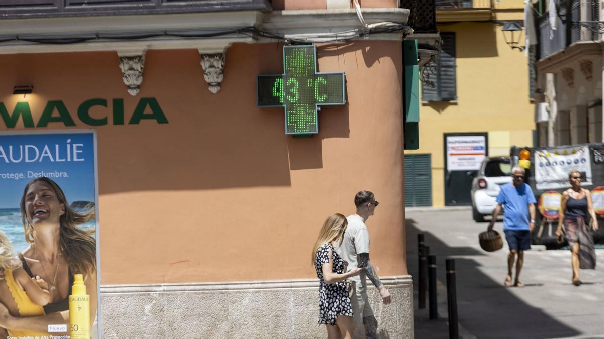 OLA DE CALOR MALLORCA | A la caza de la sombra en una Palma asfixiada por el calor: «He salido cinco minutos y ya estoy sudando»