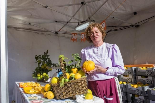 Feria de la Naranja en Telde