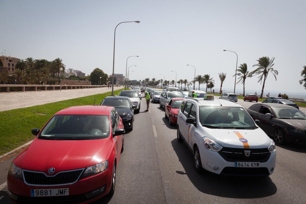 Corte de carretera en Palma contra el cambio climático