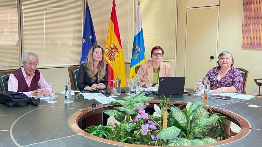 Los seniors canarios plantean una nueva normativa acorde con sus necesidades actuales