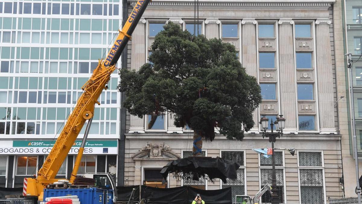 Una grúa eleva el metrosidero del Cantón Grande para su traslado a una nueva ubicación, más cerca del Obelisco.